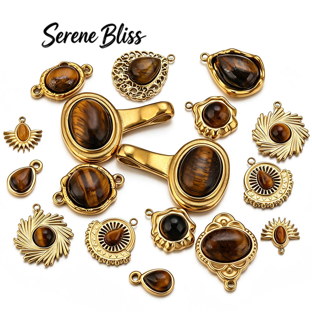 จี้สแตนเลสฝังหินตาเสือทรงกลมรู - Moon Star Earrings บทวิจารณ์และราคา